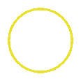 wired-outline-3411-chevron-down-circle-hover-scale (1)